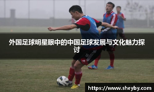外国足球明星眼中的中国足球发展与文化魅力探讨